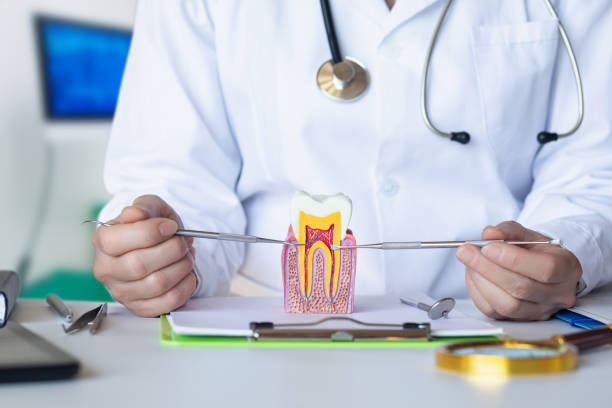 Best Emergency Tooth Extraction in Baileyton, AL